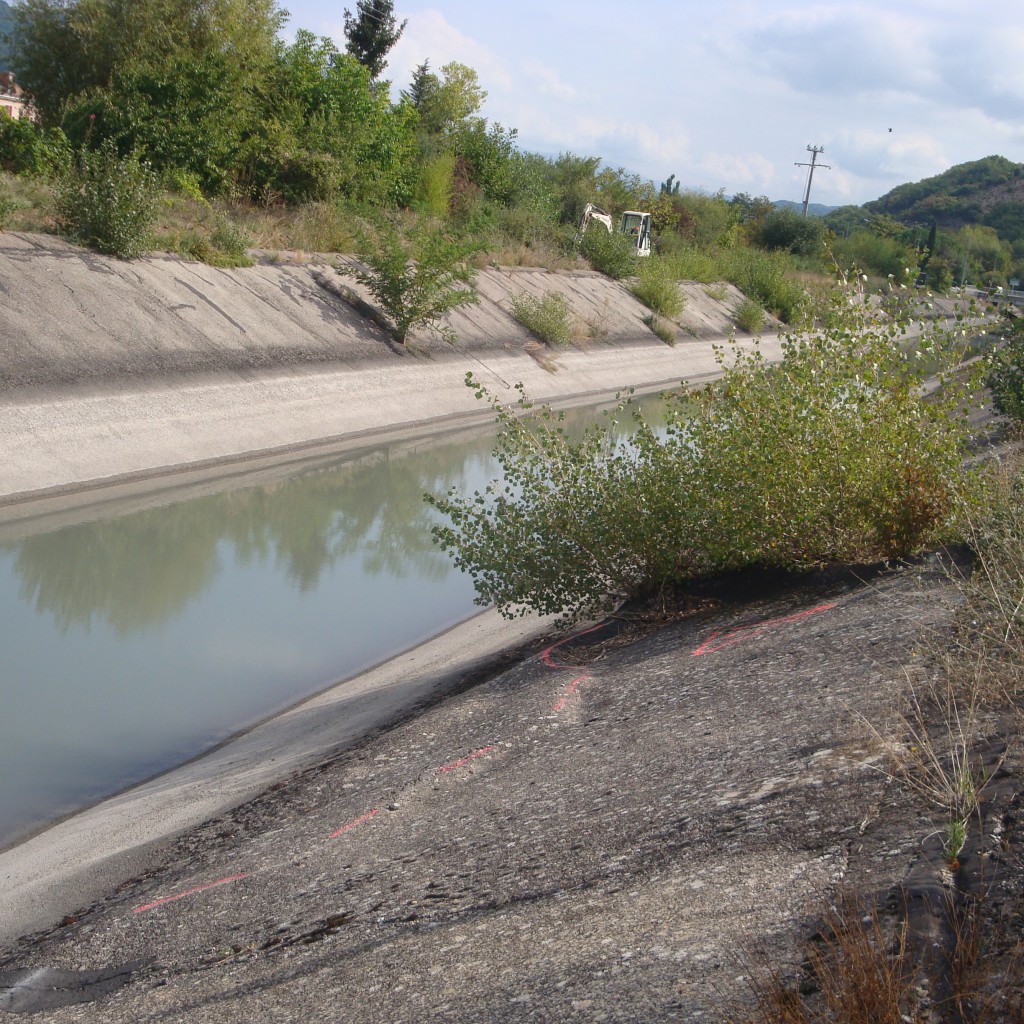 Jeunes pousses de peupliers ayant déstructuré le bajoyer bitumineux sur une digue de canal