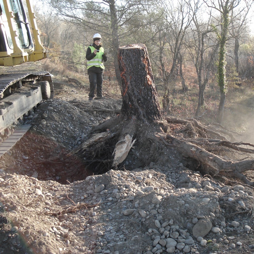 Suivi des travaux de dessouchage remblai des arbres générant des risques.